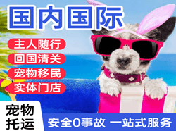 吕梁大武机场快运国际宠物托运 【国